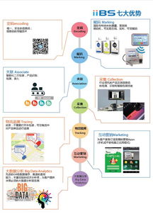 大数据 从概念到应用，追溯技术如何重塑互联网时代